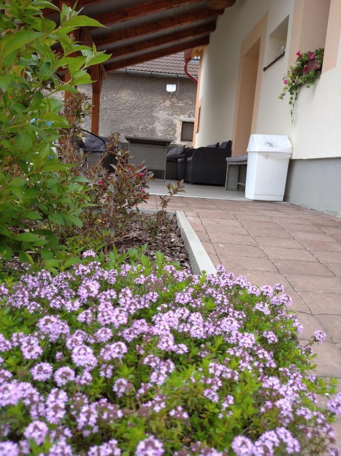 Apartmany Opolany Εξωτερικό φωτογραφία